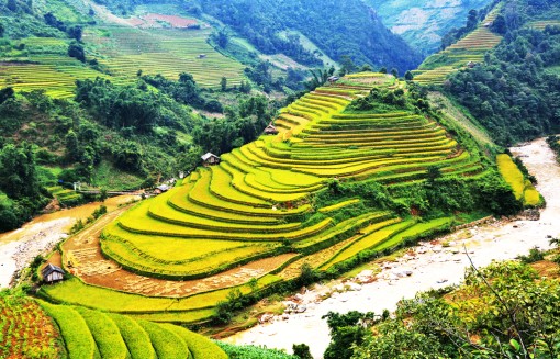 Mu Cang Chai